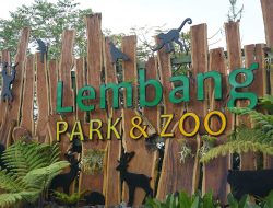 Menjelajah Alam dan Satwa Seru di Lembang Park
