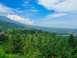 Menjelajahi Keindahan Puncak Cisaranten, Surga Alam Bandung