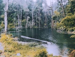 Lembah Tengkorak Bandung: Surga Alam yang Menakjubkan