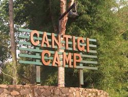 Cantigi Camp: Liburan Seru di Alam Bandung yang Menawan