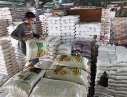 2025: Jenis Beras Khusus yang Kena Kenaikan PPN 12 Persen