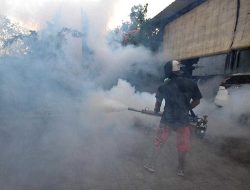 Musim Hujan, Masyarakat Diminta Waspadai DBD