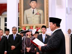 Staf Khusus Presiden, Tugas, Gaji dan Tunjangannya