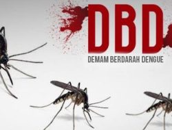 Puluhan Kasus DBD di Bandung Barat, Terbanyak di Padalarang