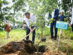 Bey Machmudin Awali Kerja 2025, Tanam 24 Ribu Bibit Produktif di Cikanyere