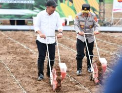 Penanaman Jagung 1 Juta Hektare di Subang,  Jadi Percontohan Nasional