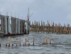 Polemik Pagar Laut Bekasi: Pj Gubernur dan DKP Jabar Tidak Sinkron