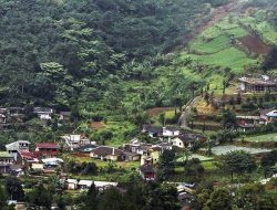 Warga Jakarta Dilarang Bangun Vila di Kawasan Puncak Bogor, Ini Alasannya