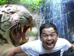Menjaga Kebudayaan Sunda,  Dedi Mulyadi Dianggap Titisan Prabu Siliwangi