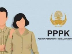 Jadwal Tes PPPK 2024 Tahap 2, Begini Cara Cek Lokasi