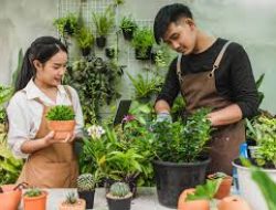 5 Tanaman Rumah yang Bermanfaat untuk Kesehatan Mental, Jenis Tanaman Apa Saja?