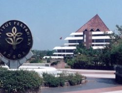 7 PTN Buka Jalur Mandiri 2025 Tanpa Tes, Salah Satunya IPB