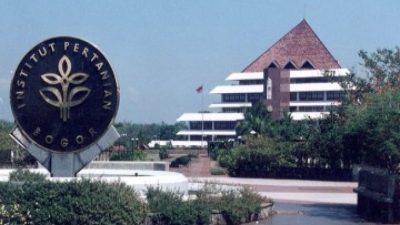 7 PTN Buka Jalur Mandiri 2025 Tanpa Tes, Salah Satunya IPB