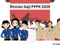 Pengangkatan PPPK Oktober 2025, Berapa Besaran Gaji Pokoknya?