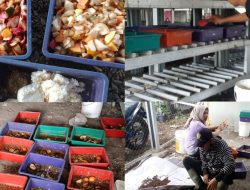 Kelurahan Garuda Inisiasi Program Maggot untuk Pengolahan Sampah Organik