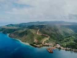 Dosen IPB Sebut Tambang Nikel Ancam Paus Sperma di Raja Ampat