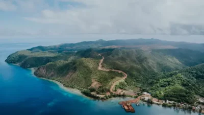 Dosen IPB Sebut Tambang Nikel Ancam Paus Sperma di Raja Ampat