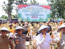 Kapolda Jabar Hingga Wagub Jabar Hadiri Panen Raya Jagung di Hutan Perhutani Gantar Indramayu