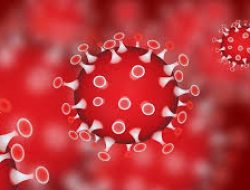 Dinkes Subang Tingkatkan Kewaspadaan Covid-19, Swab Diperlukan untuk Pasien Bergejala Berat