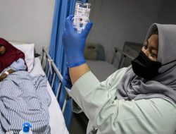 Kasus DBD di Bandung Masih Tinggi, Wali Kota Bandung Luncurkan 3M Plus