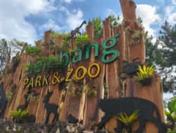 Penembak Jitu Diturunkan Dalam Pencarian Macan Tutul Kabur di Lembang Park Zoo