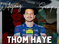 Alasan Thom Haye Tinggalkan Belanda dan Pilih Persib Bandung