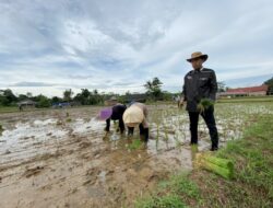 Pertanian Jadi Sebab Ekonomi Jabar Triwulan II 2025 Bergerak Positif