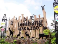 Lembang Park and Zoo Kembali Buka, Tapi Pengunjung Masuk Tanpa Tiket