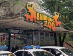 Bandung Zoo Harus Bayar Kejati Jabar, Satwa dan Pekerja Jadi Korban, Begini Respons Farhan