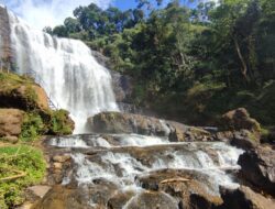 Curug Cikondang Bandung: Wisata Alam Tersembunyi dengan Panorama Hutan Asri dan Niagara Mini
