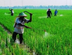 KTNA Ungkapkan Utang Petani di Indramayu Hampir Rp 1,5 Triliun