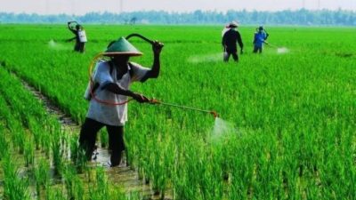 KTNA Ungkapkan Utang Petani di Indramayu Hampir Rp 1,5 Triliun