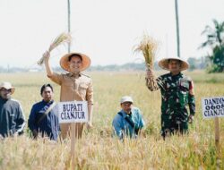 Pertanian Terlindungi: Cianjur Pertahankan 53.583 Hektar Lahan Pangan untuk Ketahanan Nasional