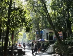 Terpikat Pesona Keindahan Alam Tahura di Utara Kota Bandung