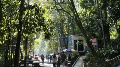 Terpikat Pesona Keindahan Alam Tahura di Utara Kota Bandung