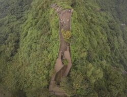 Hutan Gunung Wayang Bandung Dijadikan Habitat Macan Tutul, Pemprov Jabar Siapkan Lokasi