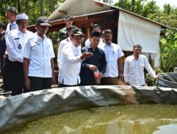 Bantuan Bibit Gurame untuk Dorong Kemandirian Pangan Lokal