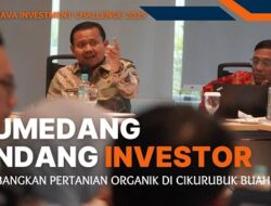 Sumedang Tawarkan Proyek Pertanian Organik Senilai Rp 139 Miliar