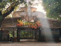 Taman Safari Indonesia Tegaskan Tidak Terkait Perkara Tipikor dan Bandung Zoo