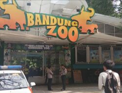 Bandung Zoo Klaim Rugi Rp 2,7 Miliar Akibat Penutupan