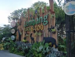 Macan Tutul Sudah Lari ke Hutan, Lembang Park and Zoo Buka Lagi
