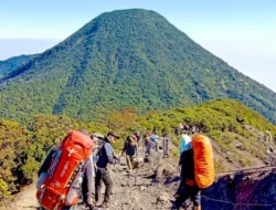 Terlalu Banyak Sampah, Jalur Pendakian Gunung Gede Pangrango Ditutup