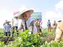 Bakti Taskin Dorong Kemandirian Pangan dan Kesejahteraan Petani