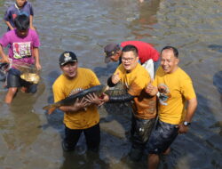 Bupati Dian Berbaur Tangkap Ikan di Tradisi “Ngobeng Lauk” Situ Cimalongpong