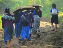 Putusan MK: Masyarakat Adat Tak Perlu Izin Usaha Berkebun di Kawasan Hutan