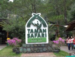 Wisata Edukasi Satwa dengan Panorama Alam Sejuk di Taman Safari Indonesia Cisarua