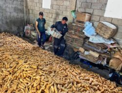 Sumedang Harus Mampu Optimalkan Produksi Sumber Daya Pangan Lokal