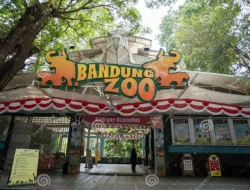 Belum Buka Sejak 6 Agustus, Nasib Bandung Zoo Tunggu Putusan Menhut