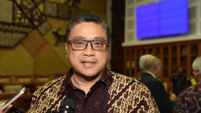 Dede Yusuf Minta Purbaya dan Dedi Mulyadi Tak Usah Berpolemik