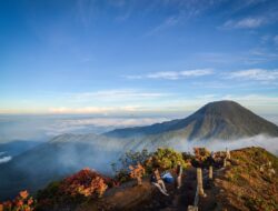 Alasan Sampah, Gunung Gede Pangrango Ditutup untuk Pendakian